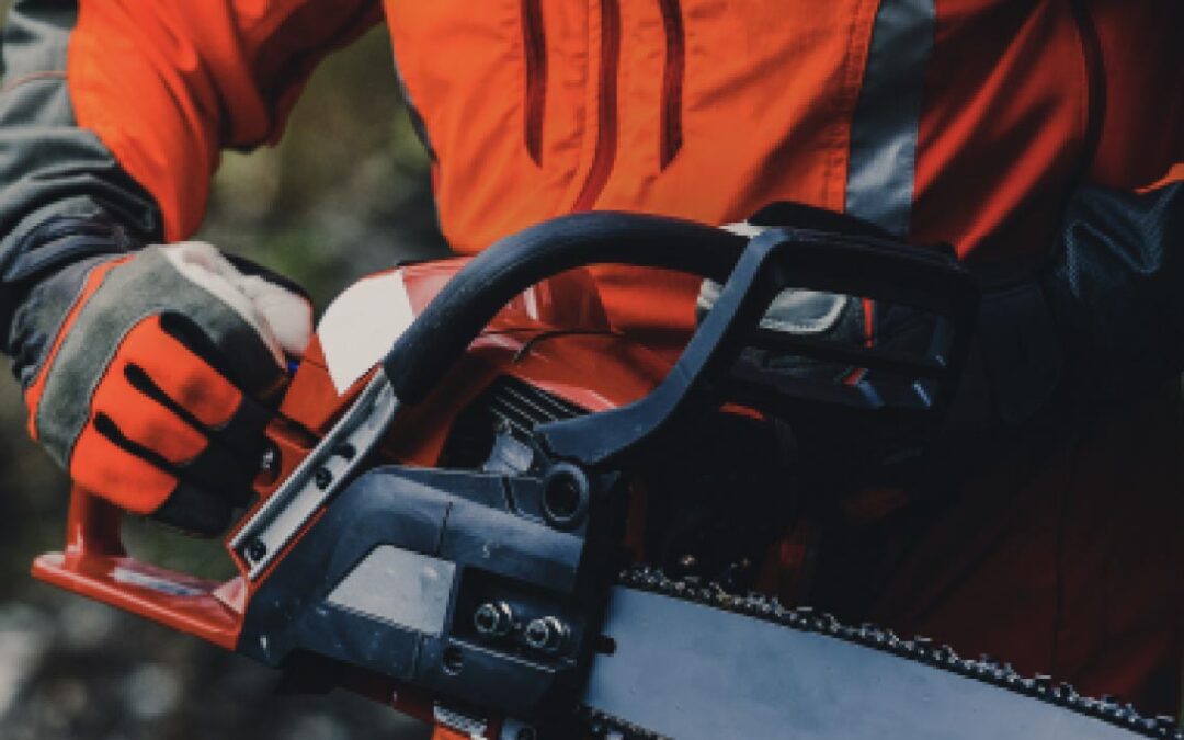 Corso di formazione utilizzo motosega
